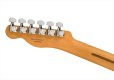 画像6: Fender　Player Plus Telecaster Butterscotch Blonde