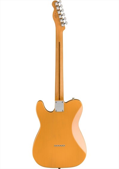 画像2: Fender　Player Plus Telecaster Butterscotch Blonde