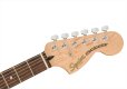 画像5: Squier by Fender　Affinity Series Stratocaster HH Olympic White