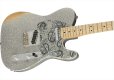 画像3: Fender　Brad Paisley Road Worn Telecaster Silver Sparkle