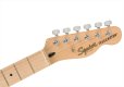 画像5: Squier by Fender　Affinity Series Telecaster Butterscotch Blonde