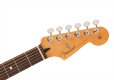 画像5: Fender　Player II Stratocaster Coral Red