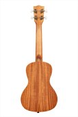 画像2: KALA　GARDENIA MAHOGANY CONCERT KA-GARDENIA-C (2)