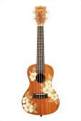 画像1: KALA　HIBISCUS MAHOGANY CONCERT KA-HIBISCUS-C (1)