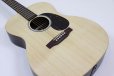 画像8: Martin　X SERIES 000-X2E BRAZ