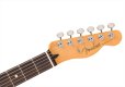 画像5: Fender　Player II Telecaster Aquatone Blue