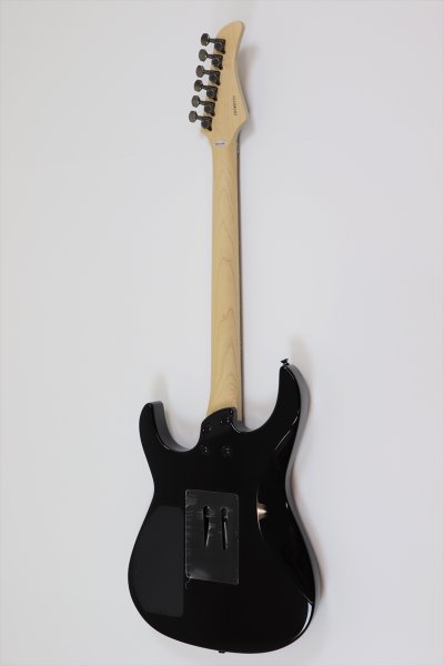 画像2: FERNANDES　FR X EXPORT Black【新品：メーカー保証なし】