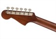 画像7: Fender　Malibu Player Natural