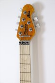 画像4: Sterling by MUSICMAN　SBMM AX40-TGO-M Trans Gold (4)