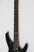 画像5: Ormsby Guitars　GOLIATH G6 FMMH DHB