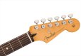 画像5: Fender　Player II Stratocaster White Blonde