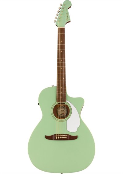 画像2: Fender　Newporter Player Surf Green