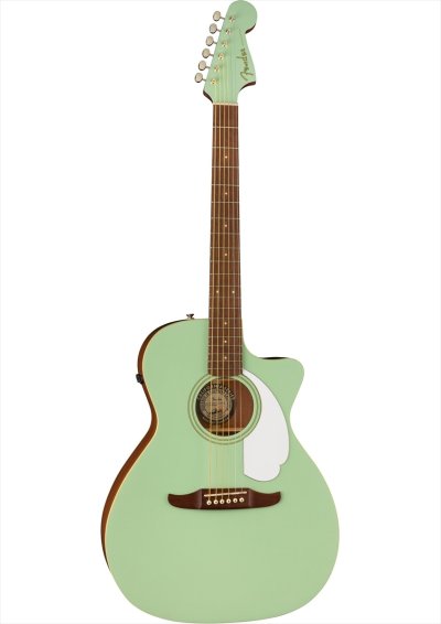 画像1: Fender　Newporter Player Surf Green