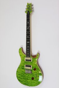 PRS (Paul Reed Smith)　SE Custom 24 Quilt Package Eriza Verde