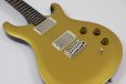 画像5: PRS (Paul Reed Smith)　SE DGT [MOONS] Gold Top