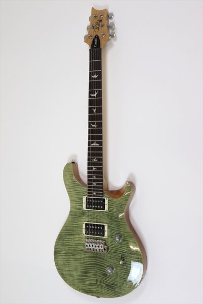 画像1: PRS (Paul Reed Smith)　SE Custom 24 Trampas Green