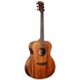 画像2: Bromo Guitars　TAHOMA SERIES BAT2M (2)