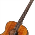 画像6: Bromo Guitars　TAHOMA SERIES BAT2M