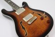 画像5: PRS (Paul Reed Smith)　SE Hollowbody II Black Gold Burst