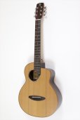 画像1: aNueNue　Acoustic Travel aNN-M60 (1)