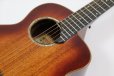 画像6: aNueNue　Acoustic Travel M88 ITE