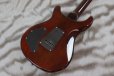 画像6: PRS (Paul Reed Smith)　SE DGT McCarty Tobacco Sunburst (Bird Inlays)