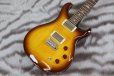 画像3: PRS (Paul Reed Smith)　SE DGT McCarty Tobacco Sunburst (Bird Inlays)