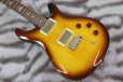 画像8: PRS (Paul Reed Smith)　SE DGT McCarty Tobacco Sunburst (Bird Inlays)