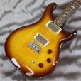 画像1: PRS (Paul Reed Smith)　SE DGT McCarty Tobacco Sunburst (Bird Inlays) (1)