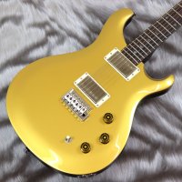 PRS (Paul Reed Smith)　SE DGT [MOONS] Gold Top