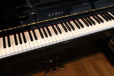 画像3: 【送料別・代引不可】KAWAI　HA-20(中古)