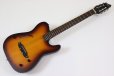 画像2: SCHECTER　OL-FL-N-P TSB (2)