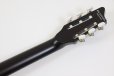 画像7: SCHECTER　OL-FL-N-P TSB