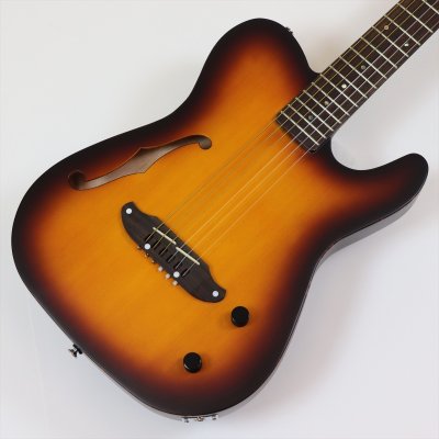 画像1: SCHECTER　OL-FL-N-P TSB