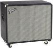 画像1: Fender　Bassman 115 Neo Enclosure (1)