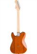 画像2: Squier by Fender　Paranormal Esquire Deluxe Mocha (2)