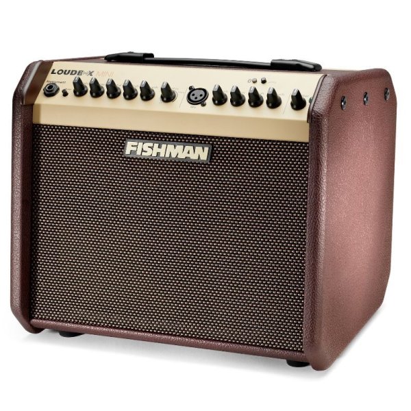 画像1: FISHMAN　Loudbox Mini Bluetooth エレアコアンプ (1)