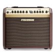 画像2: FISHMAN　Loudbox Mini Bluetooth エレアコアンプ (2)