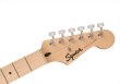 画像5: Squier by Fender　Squier Sonic Stratocaster HSS Tahitian Coral (5)