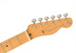 画像5: Fender　Brad Paisley Esquire Black Sparkle (5)