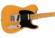 画像3: Fender　Player Plus Telecaster Butterscotch Blonde (3)