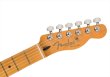 画像5: Fender　Player Plus Telecaster Butterscotch Blonde (5)