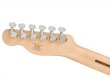 画像6: Squier by Fender　Affinity Series Telecaster Butterscotch Blonde (6)