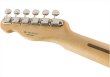 画像6: Fender　Brad Paisley Road Worn Telecaster Silver Sparkle (6)