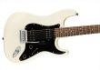 画像3: Squier by Fender　Affinity Series Stratocaster HH Olympic White (3)