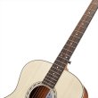 画像6: Bromo Guitars　APPALACHIAN SERIES BAA2 (6)