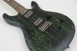 画像5: PRS (Paul Reed Smith)　SE Swamp Ash CE 24 "Sandblasted" LTD / Sandblasted Green (5)