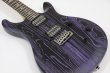 画像5: PRS (Paul Reed Smith)　SE Swamp Ash CE 24 "Sandblasted" LTD / Sandblasted Purple (5)