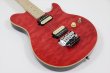 画像5: Sterling by MUSICMAN　SBMM AX40-TRD-M Trans Red (5)