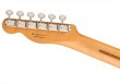 画像6: Fender　Player II Telecaster Butterscotch Blonde (6)